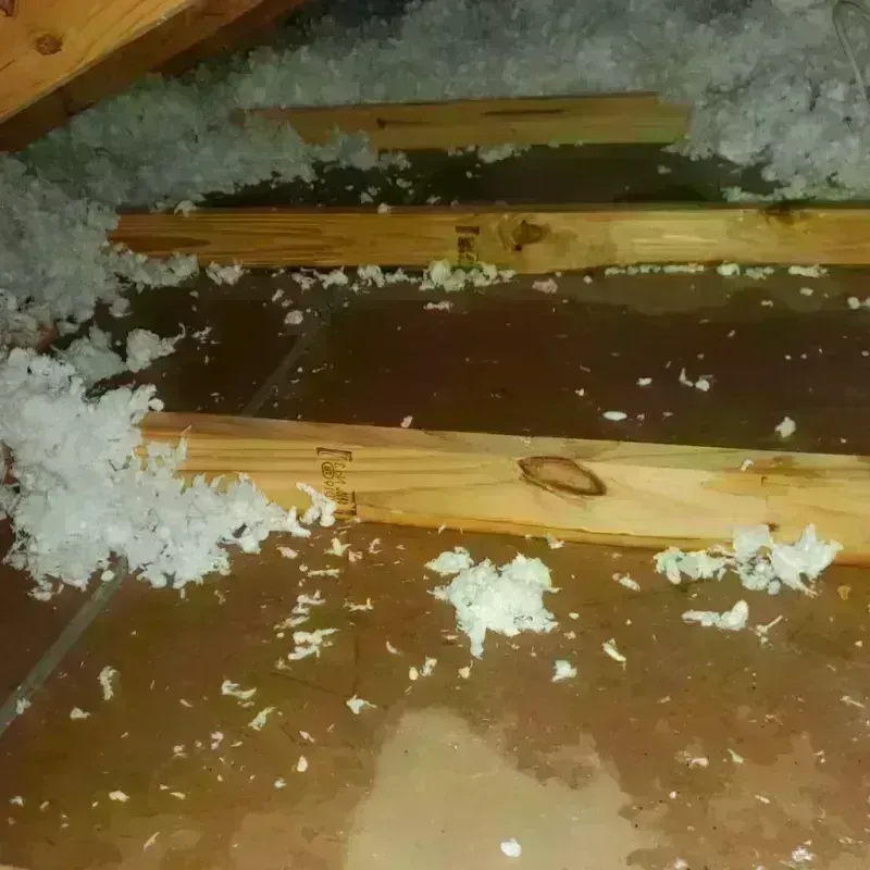 Attic Water Damage in Washington County, NE