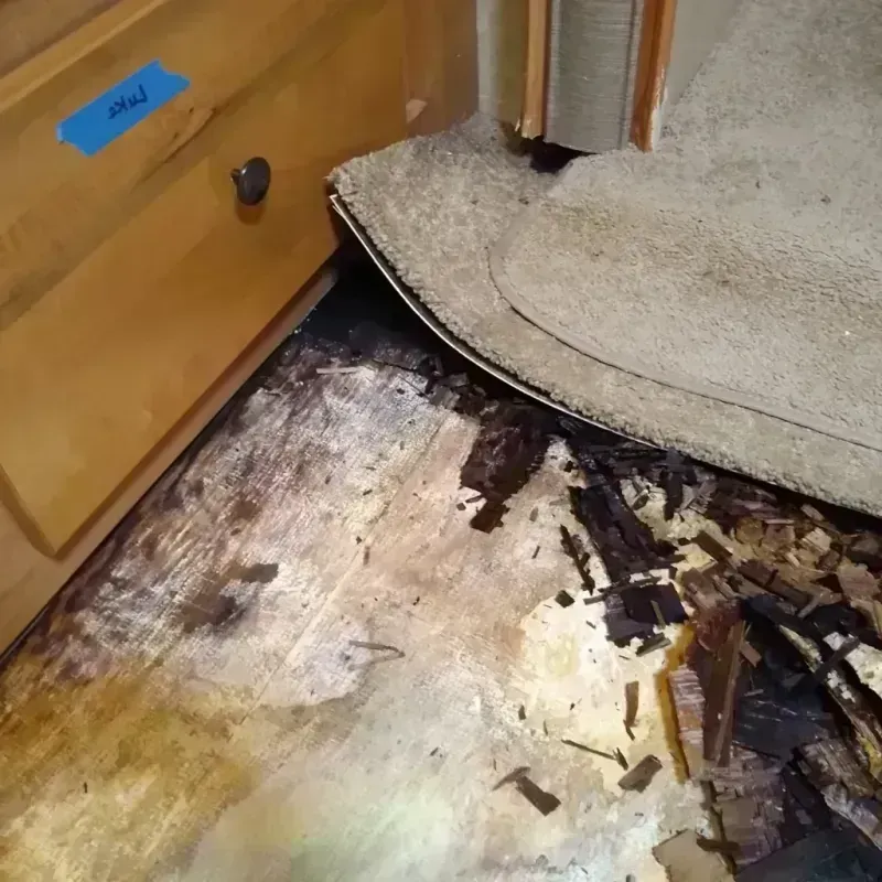 Wood Floor Water Damage in Washington County, NE